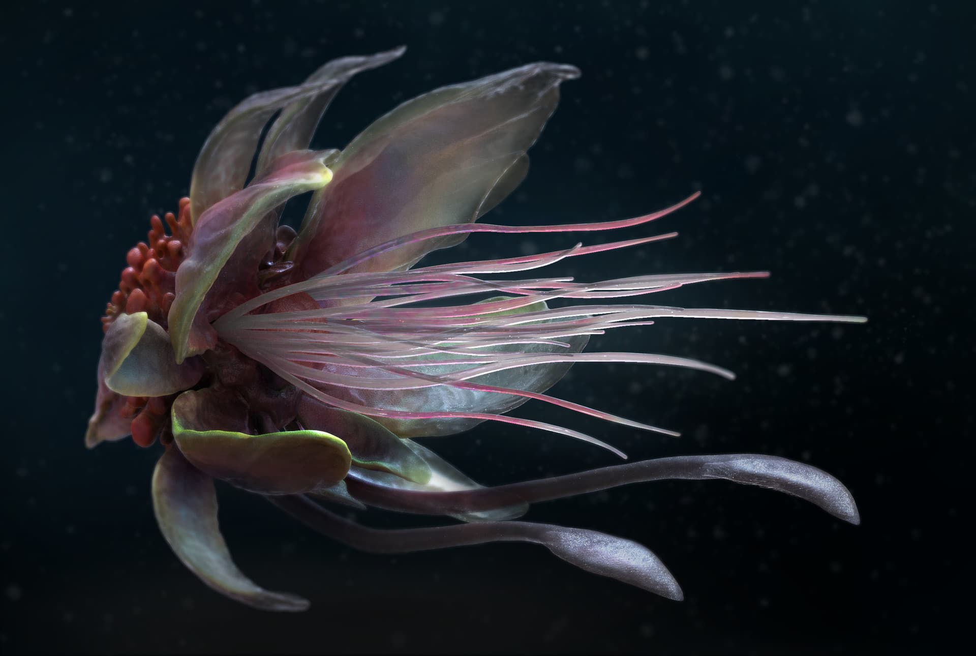 Alien Octopus — Original Work by Mony Cazamea — View 3