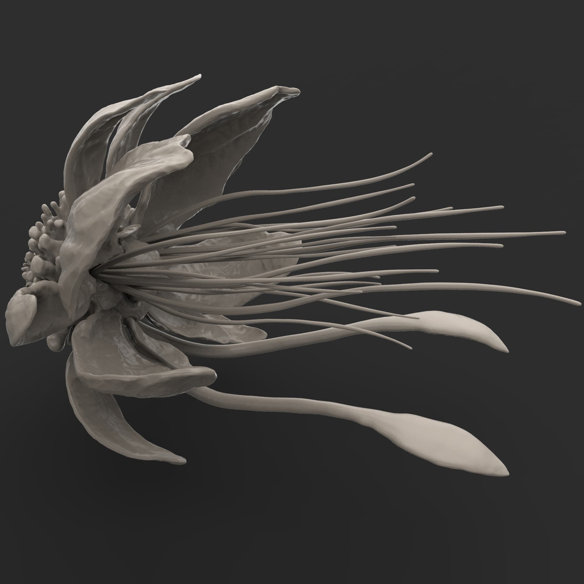 Alien Octopus — Original Work by Mony Cazamea — View 8